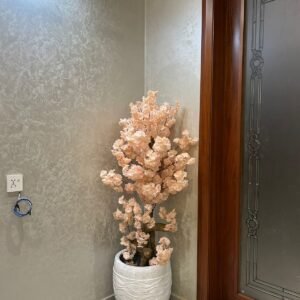 blossom plant