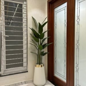 Palm PLant