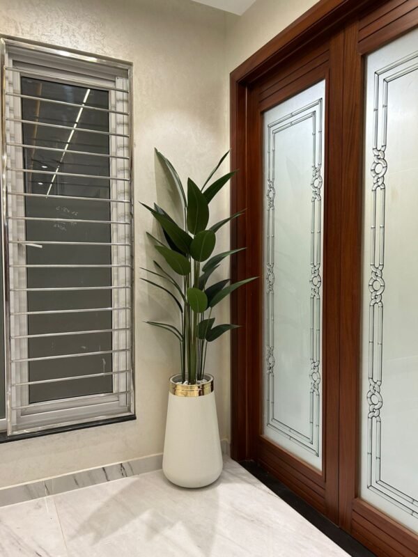 Palm PLant