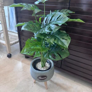plastic PLanter