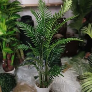 palm plant