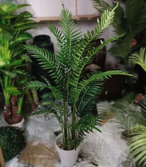 palm plant
