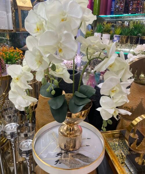 Exclusive Orchid with golden Pot