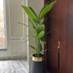 Large black Fiber pot