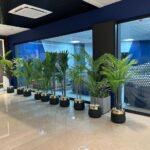 Office decor project