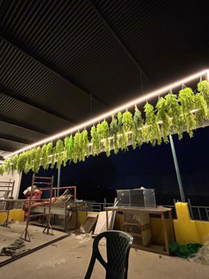 Restaurant decor project