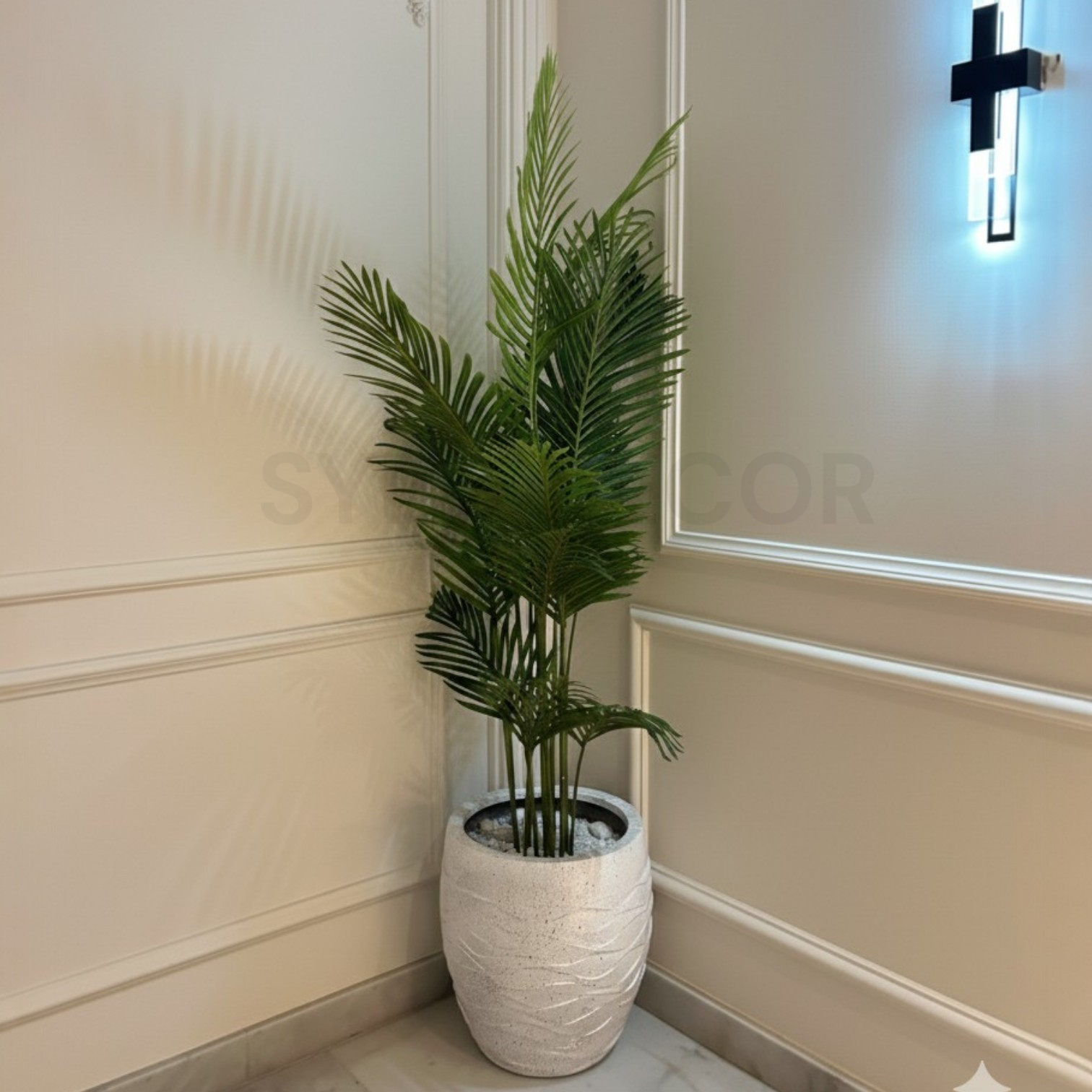 1771148884461 Imported Palm Plant With Unbreakable Fiber Pot - Image 1