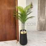 American Palm with Fiber Pot