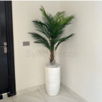 Imported American Palm With Unbreakale Fiber Pot