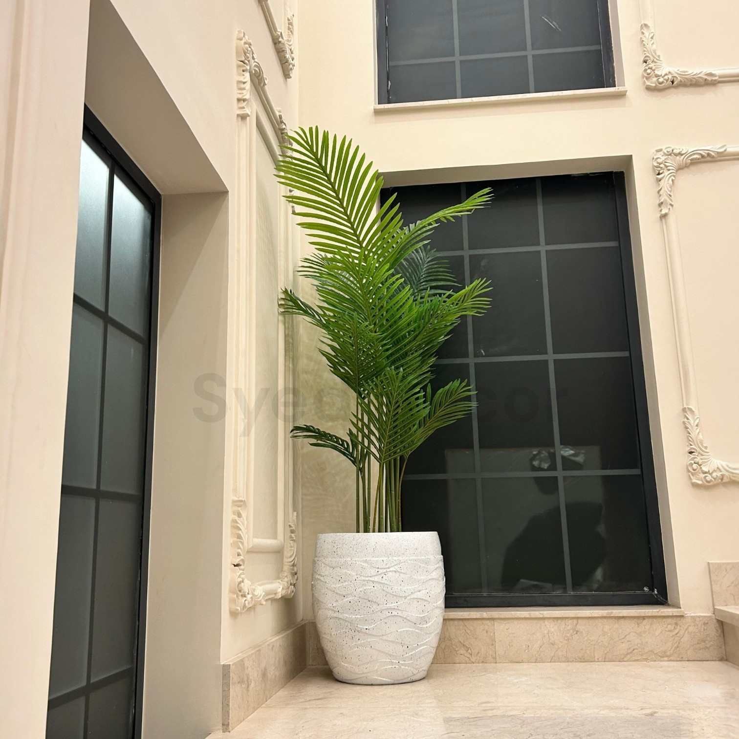 IMG-20260215-WA0010 Imported Palm Plant With utnbreakable Fiber Pot - Image 1