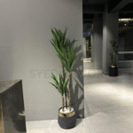 Imported Elovera Plant With Unbreakable Fiber Pot