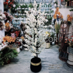 Blossom Plant With Unbreakable Fiber Pot
