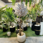 Blossom Plant With Unbreakable Fiber Pot