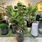 Bonsai Plant With Unbreakable Fiber Pot