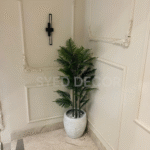 Imported Palm Plant With Unbreakale Fiber Pot