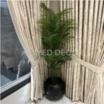 Palm plant with fiber bowl