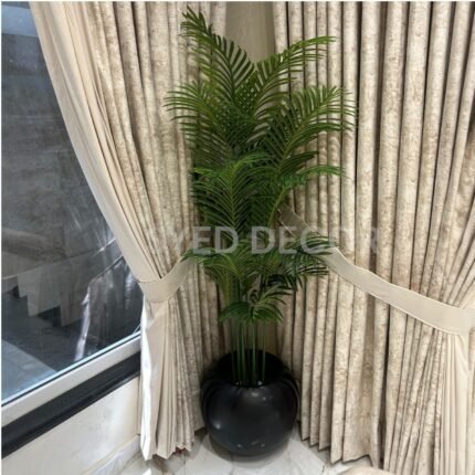 Palm plant with fiber bowl