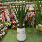 Elovera Plant With Fiber  Bowl