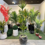 Elovera Plant With Unbreakable Fiber Po