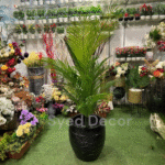 American Palm Plant With Unbreakable  Pot