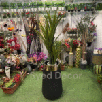 Elovera Plant With Unbreakable Pot