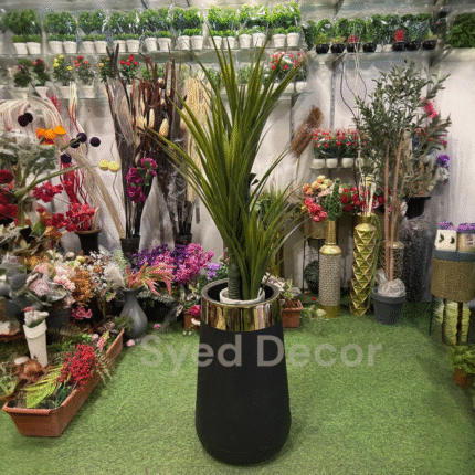 Elovera Plant With Unbreakable Pot