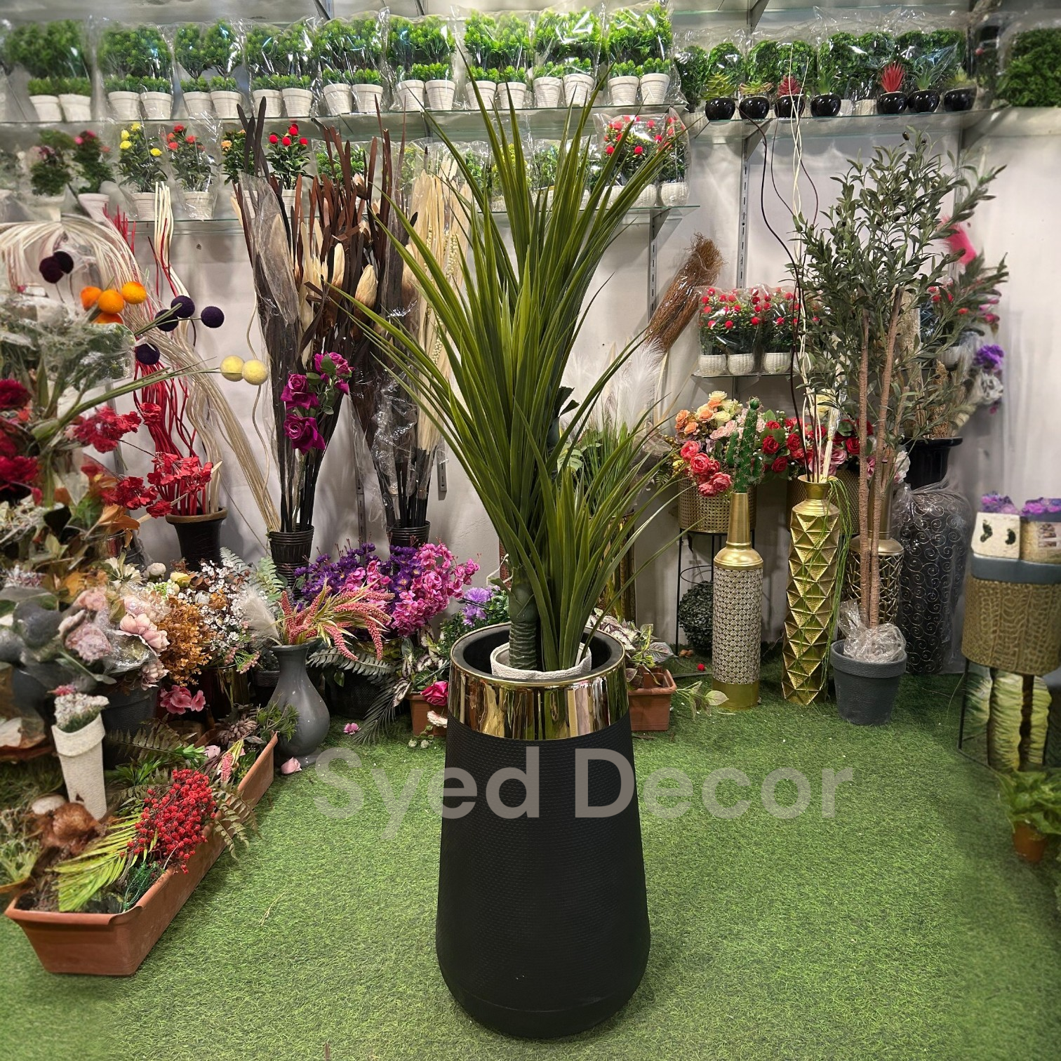 IMG-20260310-WA0032 Elovera Plant With Unbreakable Pot - Image 1