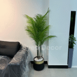 American palm plant with Unbreakable Pot