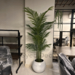 Palm Plant With Fiber Bowl