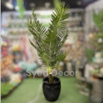 Large Palm Plant With Unbreakable  Pot