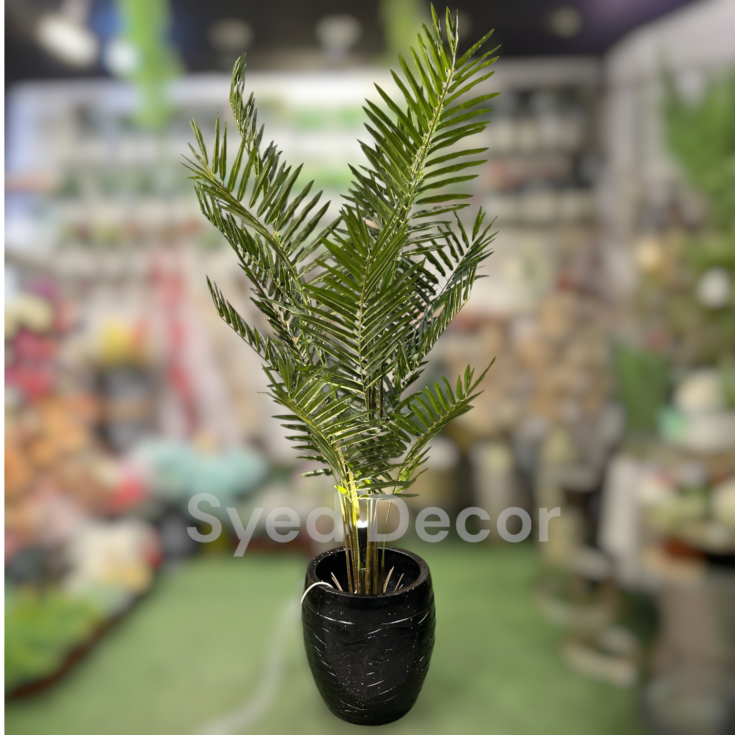 IMG-20260312-WA0033 Large Palm Plant With Unbreakable Pot - Image 1