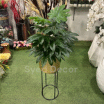 Rubber Plant With Metal Stand Pot