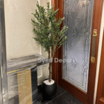 Olive Plant With Fiber  Bowl