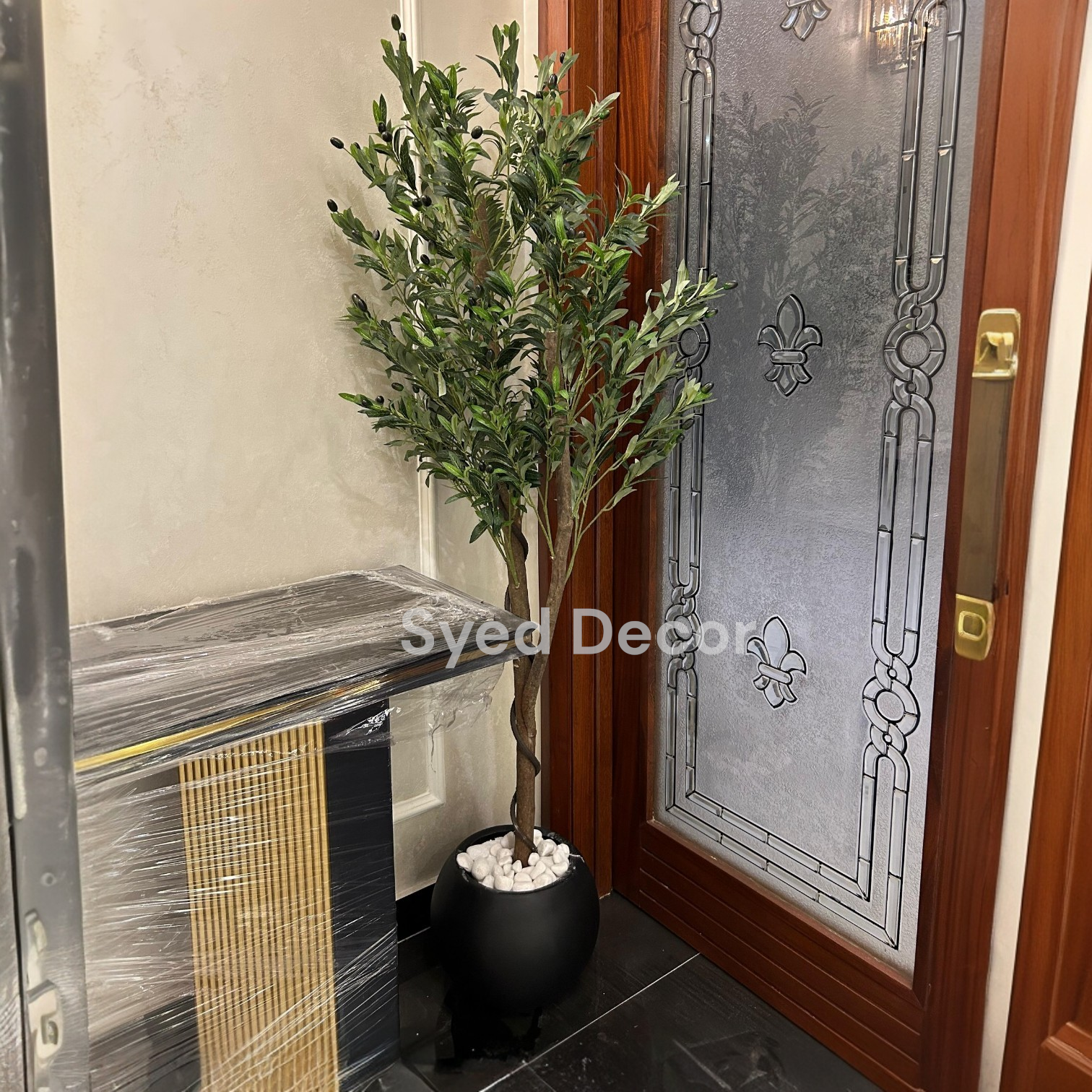 IMG-20260312-WA0044 Olive Plant With Fiber Bowl - Image 1