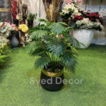 Palm Plant With Pot