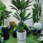 Palm Plant With Fiber Pot