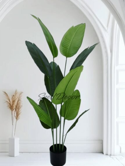 Premium Banana Plant With Pot
